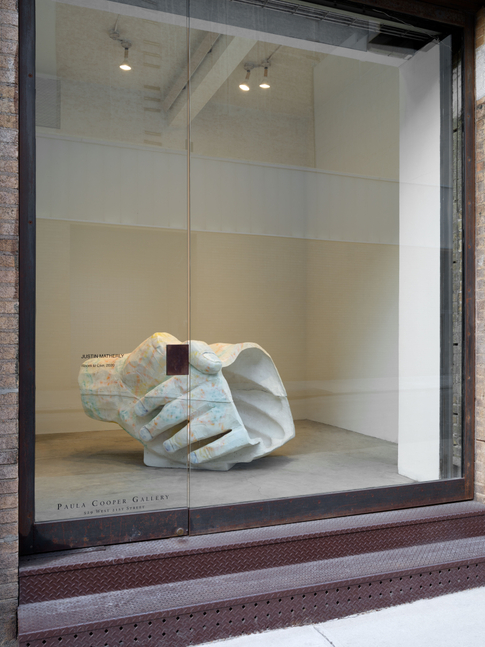 Installation view of Justin Matherly, Room to live (2020), Paula Cooper Gallery, New York.