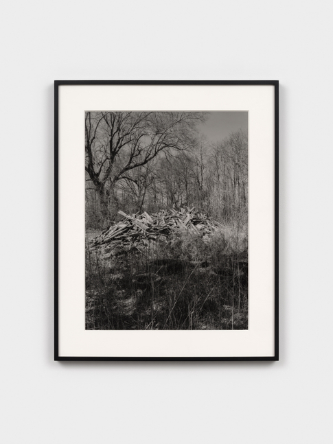 Ralph Lemon&amp;nbsp;

Untitled (Remains of Mose Wright&amp;rsquo;s Church, Money, Mississippi), 2018

digital gelatin silver print

22 x 17 in. (55.9 x 43.2 cm)

frame: 25 3/8 x 20 1/4 x 1 3/8 in. (64.5 x 51.4 x 3.5 cm)