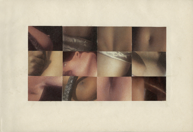 Legal Book 2, Rajan, 1995