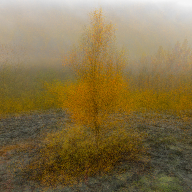 David Mangels-Four Crows Photography