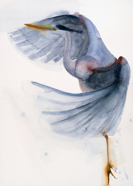 Holly Wach-Holly Wach Art