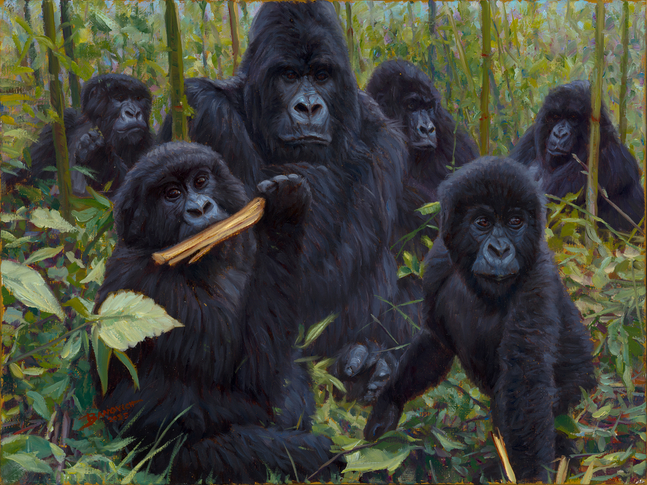 John Banovich
Forest Watch, 2025
oil on Belgian linen
9h x 12w in
22.86h x 30.48w x 1.27d cm
$ 6,500.00
&amp;nbsp;

When I set out to paint&amp;nbsp;Forest Watch, I wanted to bring viewers into the quiet world of a gorilla family. In the forest, life moves at its own rhythm. Feeding, resting, and always keeping watch. As I worked on this piece, I thought about how their eyes carry so much meaning: curiosity, caution, and the wisdom of life in the wild.

The forest itself is as much a part of the story as the gorillas. The tall bamboo and thick green leaves create both a shelter and a stage for their lives. To me, this scene is about connection, the bond of family, the protection of the forest, and the unspoken exchange between those who watch and those being watched.