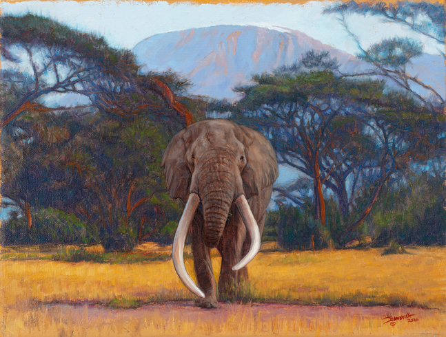 John Banovich
In the Footsteps of Giants, 2026
oil on Belgian linen
9h x 12w in
22.86h x 30.48w x 1.91d cm
$ 7,300.00
&amp;nbsp;

As I watched this bull elephant walk toward me, I was reminded that I was quite literally standing in the footsteps of giants. His path had been worn into the land long before my own, shaped by generations that know this place far better than we ever will. There was a calm certainty in his movement, a quiet strength that needed no display.

The acacia trees and Mount Kilimanjaro behind him felt timeless, as if they were holding the memory of every elephant that has passed through this valley. Painting this moment slowed me down. It reminded me that to follow in the footsteps of giants is to move with humility, respect, and care for a world that does not belong to us, but one we are responsible for protecting.