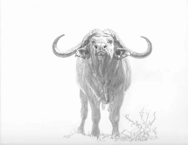 John Banovich

Cape Buffalo, 2025

Pencil

9h x 12w in
22.86h x 30.48w cm

Framed: 14h x 17w in
35.56h x 43.18w cm

JBO1298

$ 2,500.00