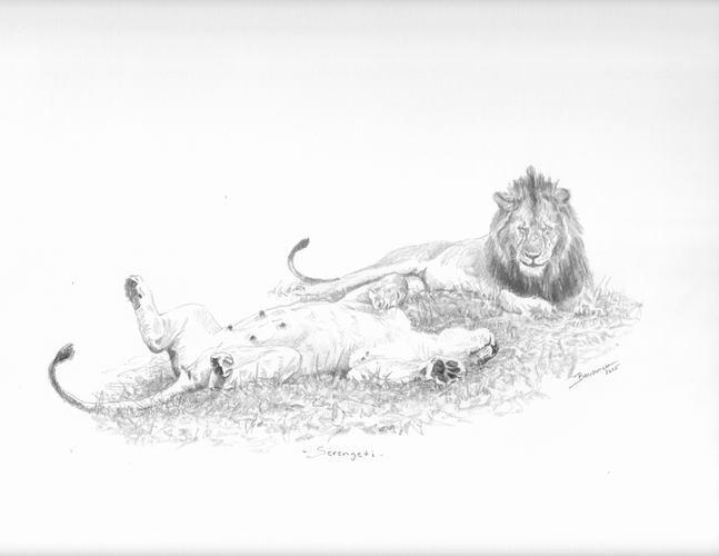 John Banovich

Serengeti, 2025

Pencil

9h x 11.75w in
22.86h x 29.85w cm

Framed: 14h x 16.75w in
35.56h x 42.55w cm

JBO1297

$ 2,500.00
