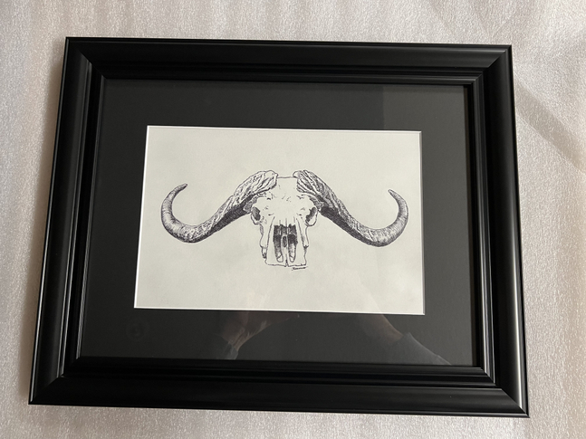 John Banovich

Cape Buffalo Skull Sketch - SCI 2026, 2025

pen &amp;amp; ink

9h x 12w in
22.86h x 30.48w cm

JBO1293

$ 2,500.00