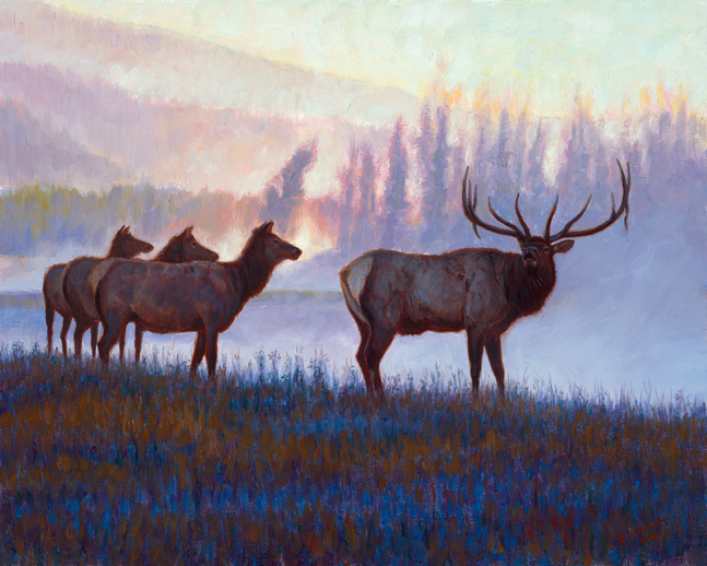 John Banovich
At the Edge of Dawn, 2026
oil on Belgian linen
13h x 16w in
33.02h x 40.64w x 1.91d cm
$ 12,500.00
&amp;nbsp;

At the edge of dawn, there is a brief pause, when night still lingers, yet the promise of light begins to reveal itself. In this moment, the&amp;nbsp;world feels hushed and watchful. I wanted this painting to live in that threshold.

The bull elk stands alert, powerful and resolute, his antlers cutting into the cool morning air like a crown shaped by time and survival.&amp;nbsp;Behind him, the cows emerge quietly from shadow, their forms softened by mist and distance. They are present but cautious, aware that&amp;nbsp;dawn brings both safety and exposure.

The light here is not yet warm, it is restrained, blue, and contemplative. I used color and atmosphere to suggest stillness rather than&amp;nbsp;movement, allowing the viewer to feel the tension and calm that coexist in wild places just before the day fully awakens. It&amp;rsquo;s the fragile&amp;nbsp;balance of wilderness moments that exist only briefly before they slip away.