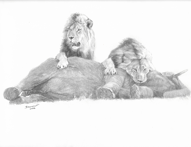 John Banovich
Elephant Hunters-Study, 2026
Pencil
9h x 12w in
22.86h x 30.48w cm
$ 2,500.00