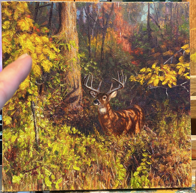 John Banovich
Dappled Light, 2026
oil on Belgian linen
10h x 10w in
25.40h x 25.40w x 1.91d cm
$ 6,800.00

&amp;nbsp;

I painted &amp;quot;Dappled Light&amp;quot; as a quiet moment in the woods, when sunlight slips through the trees and settles gently across the forest floor. The light moves in patches, warming the leaves and falling across the deer&amp;rsquo;s back, as if the woods are momentarily at ease.

The buck stands still but calm, alert without urgency. His body catches the light in soft bands, shaped by the branches above him. He feels aware, but not threatened. In the corner of the painting, a tree stand sits empty. It&amp;rsquo;s Monday morning. The archer isn&amp;rsquo;t there, and the deer seems to know it.

There&amp;rsquo;s a pause in the wood, a sense that this is a safe moment, borrowed from routine. The forest feels familiar again, and the deer stands comfortably in that calm, surrounded by light, shadow, and the quiet confidence of knowing he&amp;rsquo;s alone.