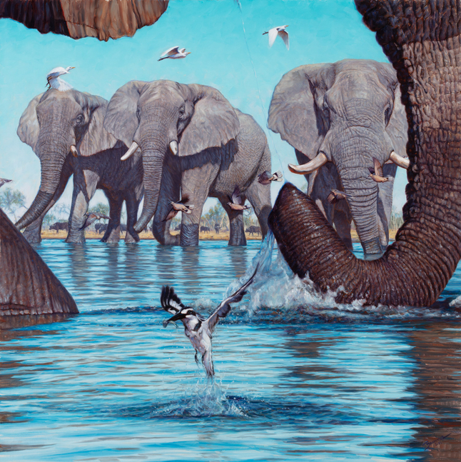 John Banovich
Shared Waters, 2026
oil on Belgian linen
30h x 30w x 1.25d in
76.20h x 76.20w x 3.18d cm
$ 45,000.00
&amp;nbsp;

In&amp;nbsp;&amp;ldquo;Shared Waters,&amp;rdquo;&amp;nbsp;I wanted to capture a moment of quiet convergence, a place where life gathers not in conflict, but in mutual need. Water is the essence of life in Botswana, and when the floods arrive, it&amp;rsquo;s known as the season of &amp;ldquo;Pula.&amp;rdquo; It draws the largest and the smallest together, binding them in a fragile, unspoken agreement.

The painting itself became part of that story. I positioned the viewer at the water level, as if you, the viewer, were actually part of the story. I framed the scene through the curve of an elephant&amp;rsquo;s trunk to invite the viewer into the water itself, to stand at eye level with this shared moment rather than observe it from a distance. The splash at the center is intentional, as a pied kingfisher emerges with a small fish, leading your eye into the scene and reminding us that the wild is never static. That gesture reminds me that even in moments of calm, the wild is alive with motion.

This painting is my reflection on coexistence. In a world that often emphasizes separation, the natural world continues to show us something else: that survival, beauty, and balance are found where paths intersect and precious water resources are shared.
