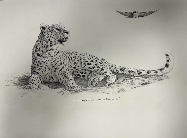 John Banovich

Female Leopard and Carmine Bee-Eater, 2026

Black Conte Pencil

21h x 30w in
53.34h x 76.20w cm

JBO1294

$ 7,900.00