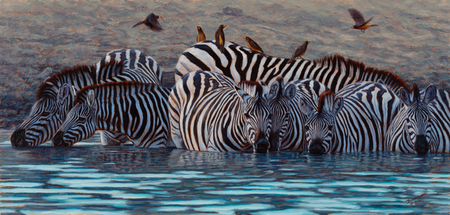 John Banovich
Deep Water Drink, 2026
oil on Belgian linen
11h x 23w in
27.94h x 58.42w x 1.91d cm
$ 16,900.00
&amp;nbsp;

I painted this moment to acknowledge the quiet risk that comes with necessity. The zebras enter water deeper than comfort allows, not out of impulse, but because thirst leaves no alternative. Their bodies are partially surrendered to the river, stripes dissolving into reflection and depth. In this crossing, balance replaces speed, and stillness becomes survival. I was drawn to the tension between need and danger, the way life in the wild is often sustained not by abundance, but by calculated exposure.