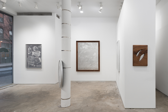 Sharon Cheuk Wun Lee: Possibly, Here [ 遠根近花 ] (installation view)
