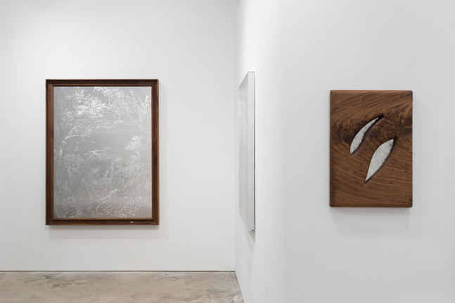 Sharon Cheuk Wun Lee: Possibly, Here [ 遠根近花 ] (installation view)