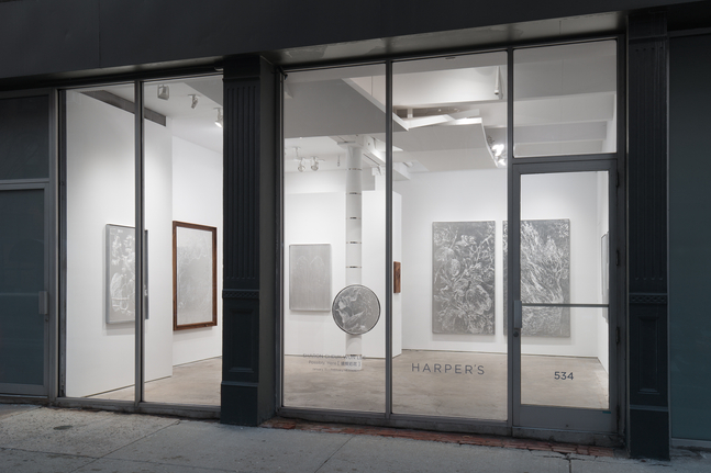 Sharon Cheuk Wun Lee: Possibly, Here [ 遠根近花 ] (installation view)