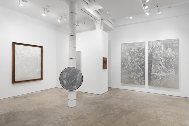 Sharon Cheuk Wun Lee: Possibly, Here [ 遠根近花 ] (installation view)