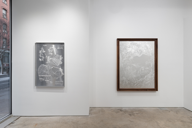 Sharon Cheuk Wun Lee: Possibly, Here [ 遠根近花 ] (installation view)