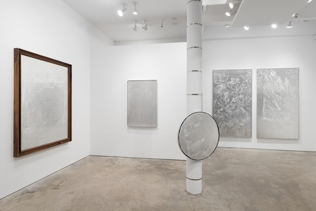Sharon Cheuk Wun Lee: Possibly, Here [ 遠根近花 ] (installation view)