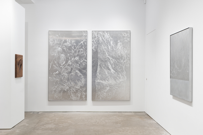Sharon Cheuk Wun Lee: Possibly, Here [ 遠根近花 ] (installation view)