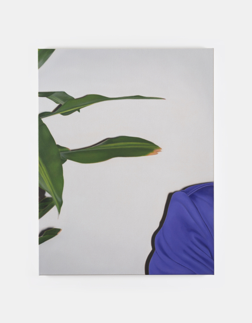 Marcel Vidal&amp;nbsp;

Shoulder and plant, 2025

oil on linen

90 x 70 cm / 35.4 x 27.6 in&amp;nbsp; &amp;nbsp;