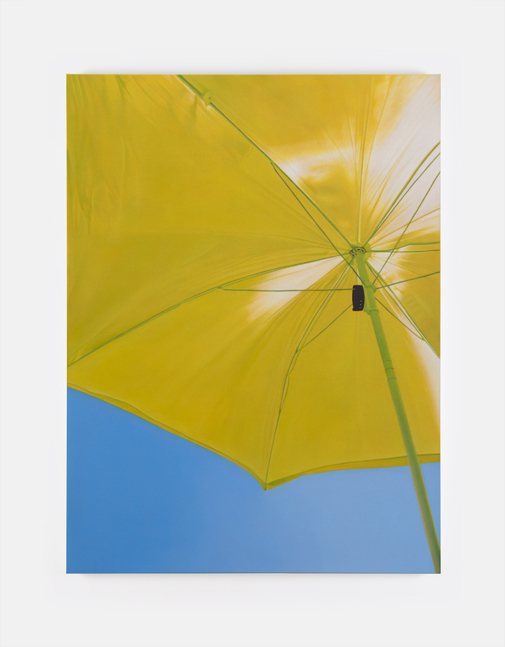 Marcel Vidal&amp;nbsp;

Umbrella,&amp;nbsp;2025

oil on linen

160 x 120 cm / 63 x 47.2 in&amp;nbsp; &amp;nbsp;