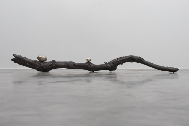 Dorothy Cross&amp;nbsp;

Branch,&amp;nbsp;2017

cast bronze branch and three polished bronze eggs

20 x 203 x 15 cm / 7.9 x 79.9 x 5.9 in

&amp;nbsp;