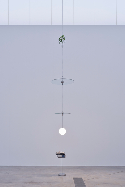 Andy Fitz&amp;nbsp;

Flowers in a Vase, on the Table Top, on a Mirror, on a Lamp. The Table Top 11.06 2026

dimensions variable
Installation at VISUAL Carlow