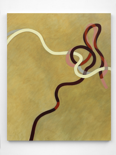 Mimi Chen Ting (1946-2022)
Tangles and Ties 3, 2006
acrylic on canvas
54 x 44 inches;&amp;nbsp; 137.2 x 111.8 centimeters
LSFA# 15528