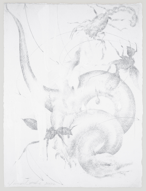 James Drake Untitled, 2026 silverpoint on gessoed paper 15 1/4'' x 11 1/4'', Moody Gallery