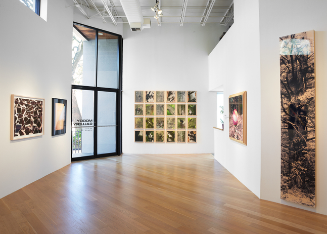 MANUAL The Collaboration of Ed Hill and Suzanne Bloom Installation View, Moody Gallery March 7 - April 25, 2026