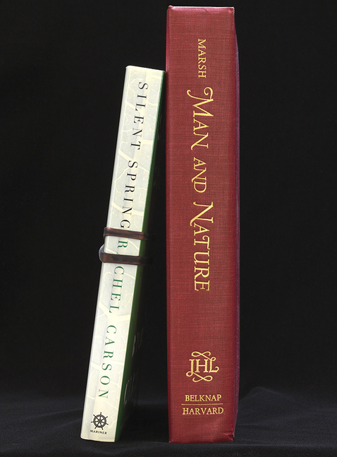 MANUAL (Hill &amp; Bloom) SILENT...NATURE, 2017 archival pigment print, ed: 5 38" x 28 1/2", M 623, Moody Gallery