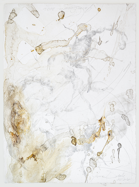 James Drake Untitled, 2026 silverpoint, ink on gessoed paper 15 1/4'' x 11 1/4'' JD 429, Moody Gallery