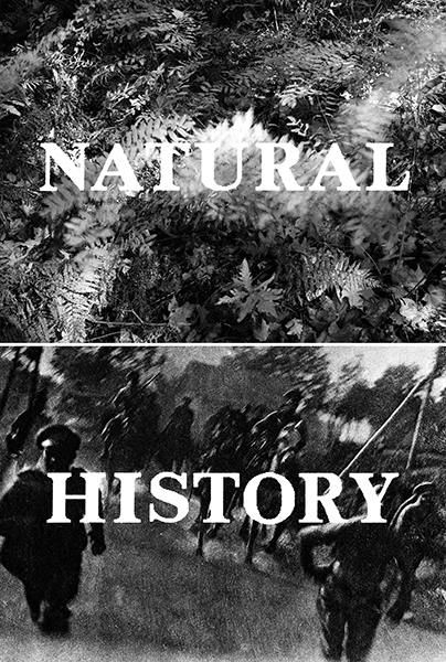 MANUAL (Hill &amp; Bloom) Natural History, 1988 color coupler prints, ed: 1/1 unique 2 parts, 30" x 40" each, M 236, Moody Gallery