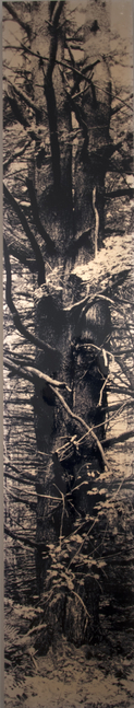 MANUAL (Hill &amp; Bloom) Mother Tree, 1991 Type C photograph, mounted with laminate, ed: 1/1 unique 108" x 20", M 285, Moody Gallery