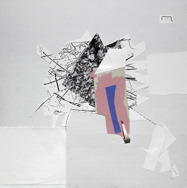 Bird Hygiene, 2025&amp;nbsp;
Digital print, pen, acrylic, collage on board
24 x 24 in. (61 x 61 cm)
Smai-1612-C