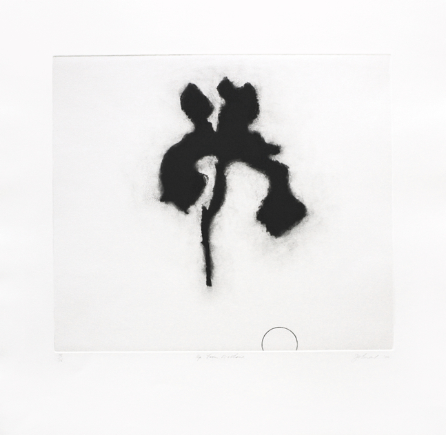 Jo Smail&amp;nbsp;
Up From Nowhere, 2004
Etching
23 x 22 1/2 in. (58.4 x 57.1 cm)
Edition of 15
Published by Goya Contemporary / Goya-Girl Press
SMA-0101-CO