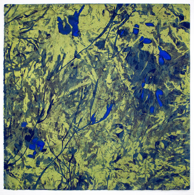 Yellow Algae, 2025
Silkscreen and hand painting on Rives BFK paper
Paper: 19 x 19 in. (48.3 x 48.3 cm)
Frame: 23 x 23 in. (58.4 x 58.4 cm)
Edition 1 of 1
Sala-1344-C