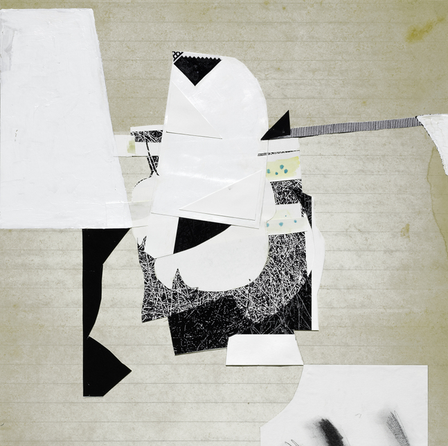 Sex Life of a Mosquito, 2025
Pigment prints, acrylic, charcoal, watercolor, pen, fabric, collage on board
24 x 24 in. (61 x 61 cm)
Smai-1630-C