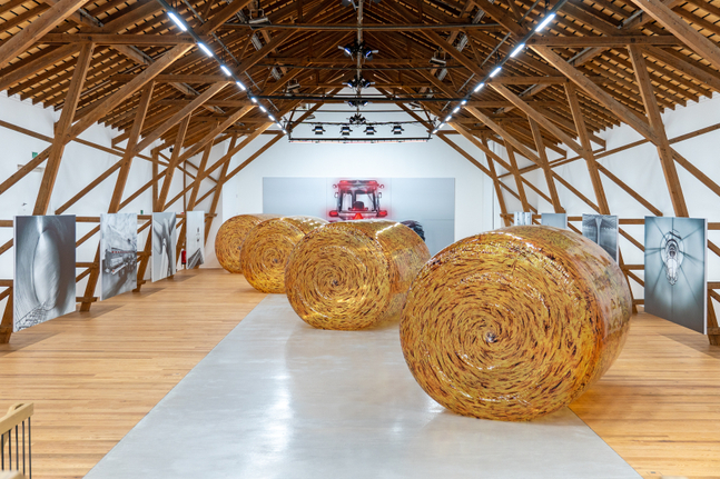 Installation view, Louisa Gagliardi &amp;amp; Adam Cruces, MERGERS AND ACQUISITIONS, Ferme-Asile, Sion, 2026
Photo: Adam Cruces