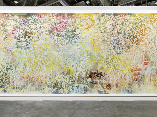 Installation view, Sam Falls, Spring to Fall, Art Basel Unlimited, Basel, 2024