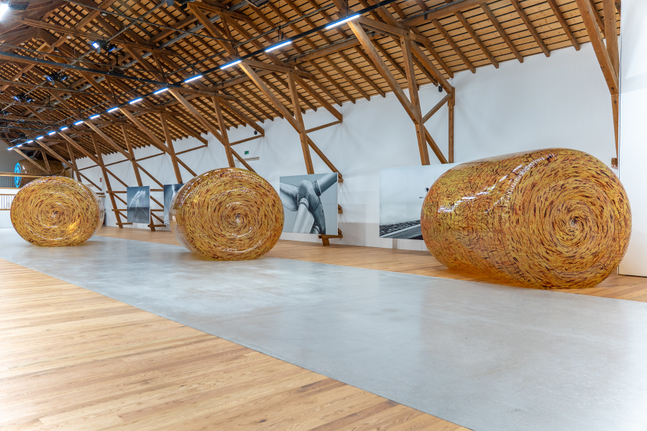 Installation view, Louisa Gagliardi &amp;amp; Adam Cruces, MERGERS AND ACQUISITIONS, Ferme-Asile, Sion, 2026
Photo: Adam Cruces