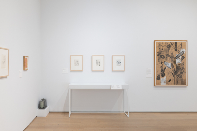 Installation view, Carroll Dunham, Drawings, 1974 &amp;ndash; 2024, The Art Institute, Chicago, 2026