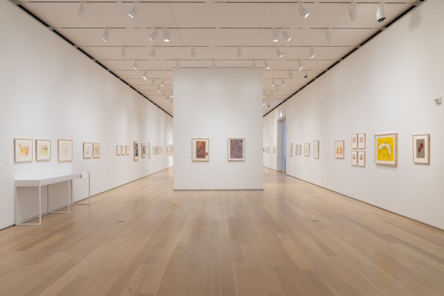 Installation view, Carroll Dunham, Drawings, 1974 &amp;ndash; 2024, The Art Institute, Chicago, 2026