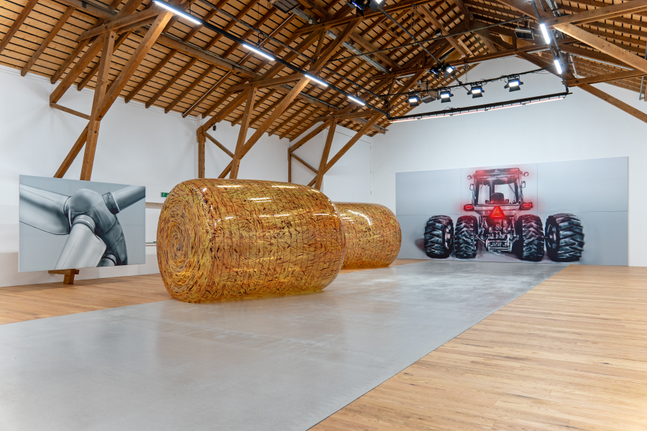 Installation view, Louisa Gagliardi &amp;amp; Adam Cruces, MERGERS AND ACQUISITIONS, Ferme-Asile, Sion, 2026
Photo: Adam Cruces