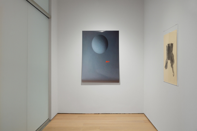 Installation view, Trisha Donnelly, Drawing Center, New York, 2025