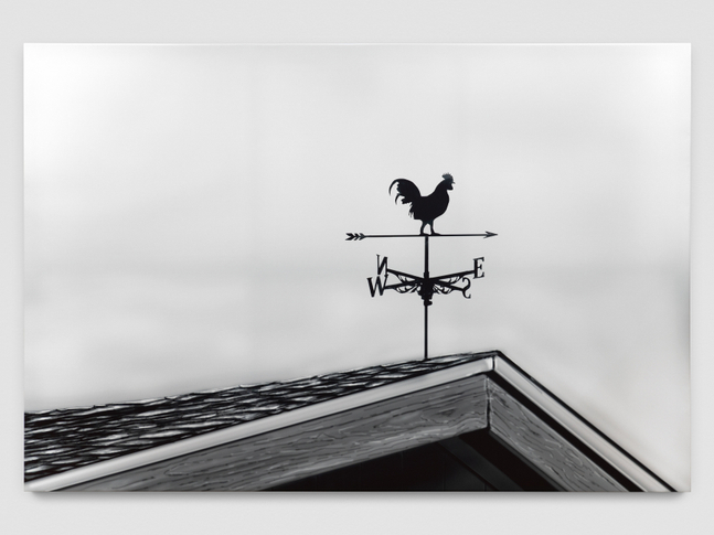 Weather Vane

2026

Ink on PVC 200 x 300 cm / 78 3/4 x 118 1/8 in

&amp;copy; Louisa Gagliardi