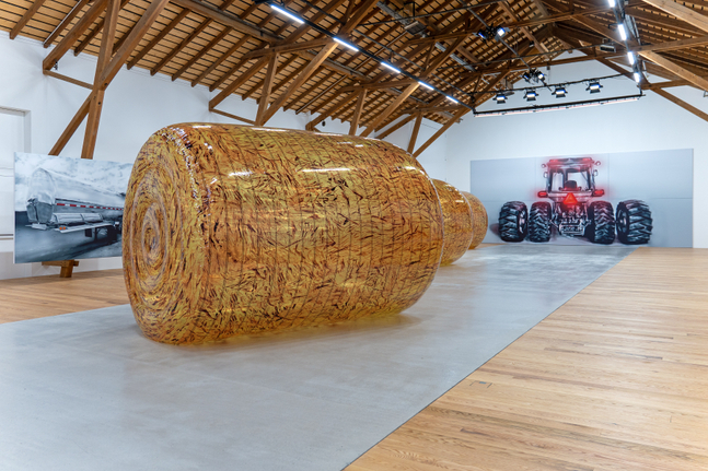 Installation view, Louisa Gagliardi &amp;amp; Adam Cruces, MERGERS AND ACQUISITIONS, Ferme-Asile, Sion, 2026
Photo: Adam Cruces