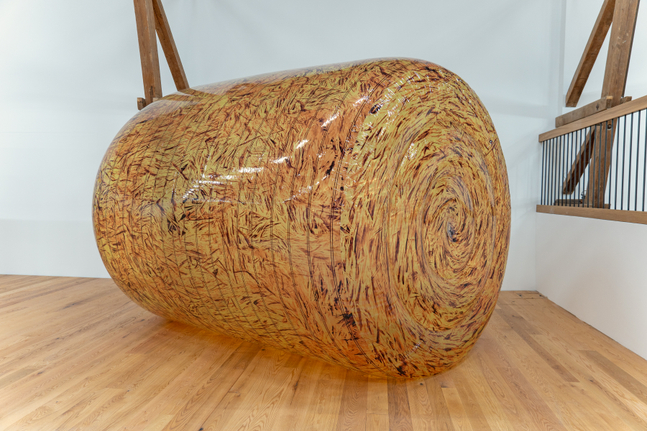 Installation view, Louisa Gagliardi &amp;amp; Adam Cruces, MERGERS AND ACQUISITIONS, Ferme-Asile, Sion, 2026
Photo: Adam Cruces