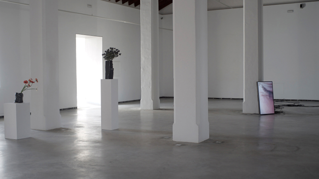 Installation view of sculptures by Douglas Gordon