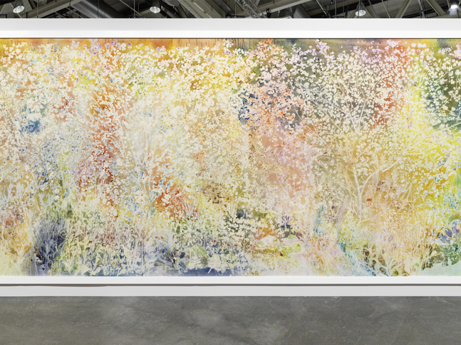 Installation view, Sam Falls, Spring to Fall, Art Basel Unlimited, Basel, 2024
